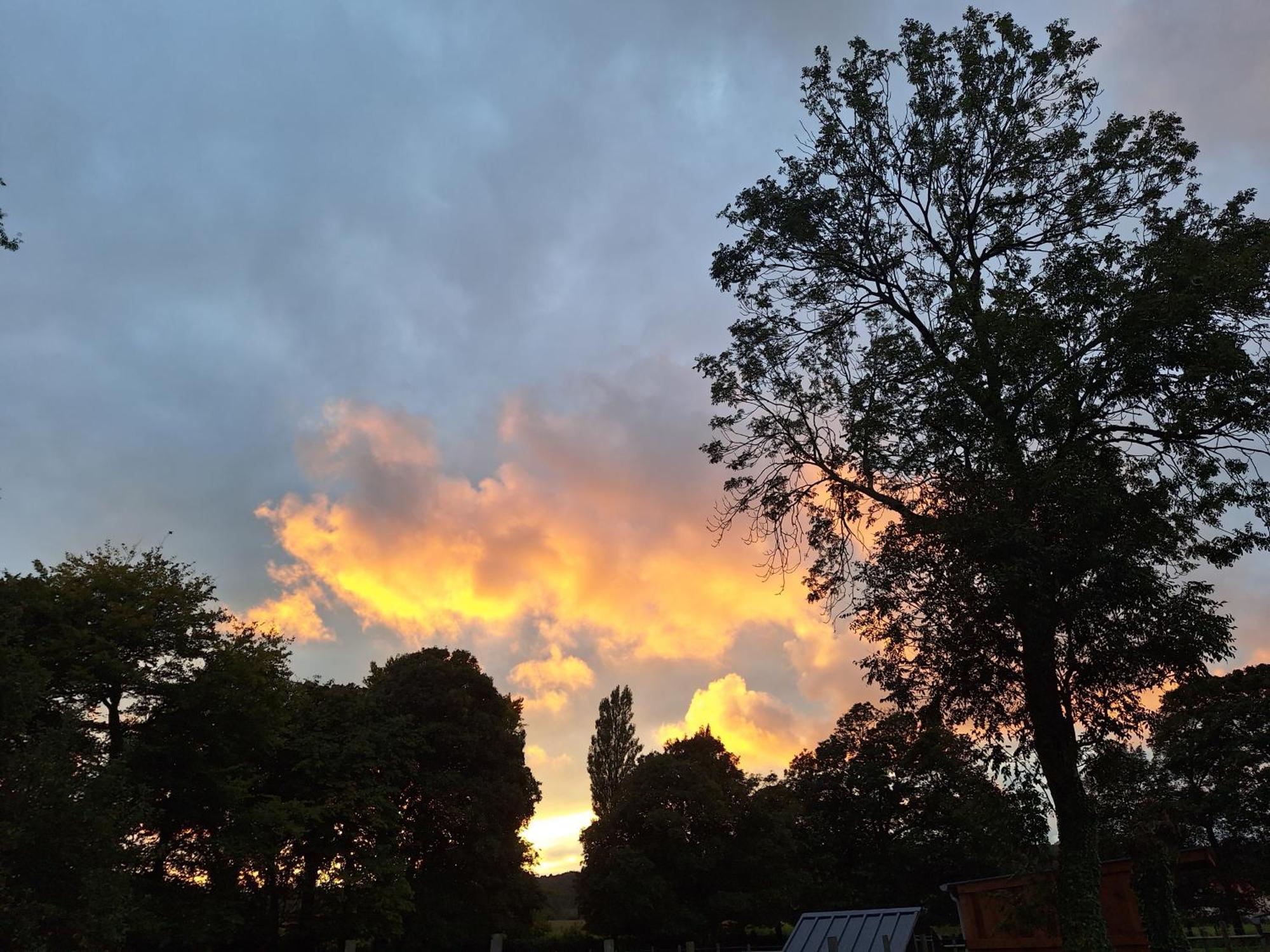 Leonilys Apartamento Neufchâtel-Hardelot Quarto foto